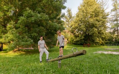 RIRD: A Linha Tênue entre “Ensinar” e “Controlar” no Autismo