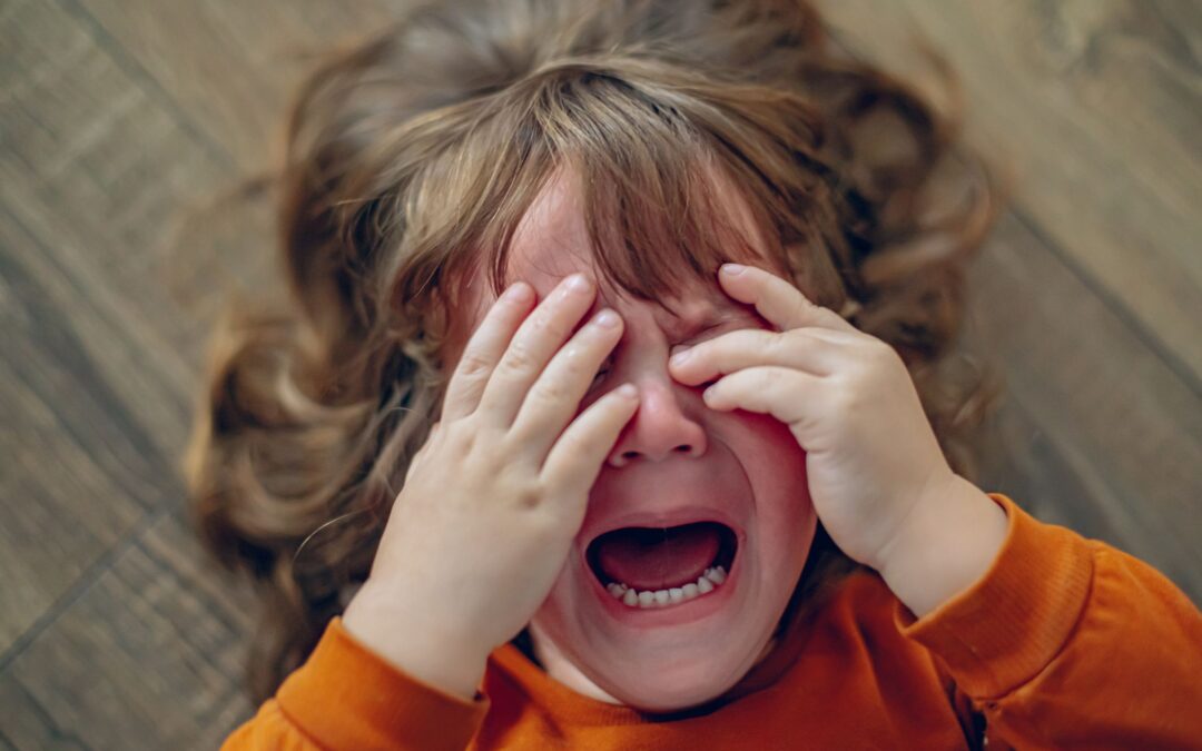 O Segredo da Persistência Comportamental: Por Que as Birras Duram Tanto?